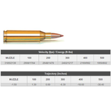 Hornady 243 Win 95gr SST SPF 20pk