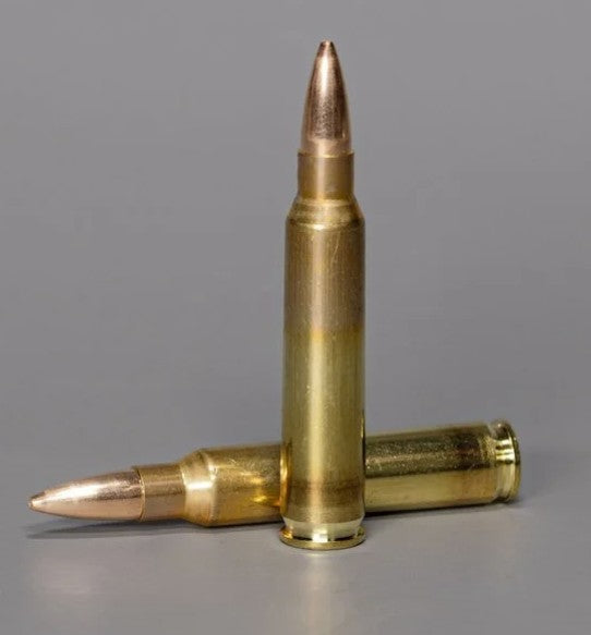 RUAG 223 Rem SWISS P Target HPBT 69gr - 50pk