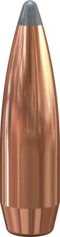 SPEER 243 85GR SPBT 100PK