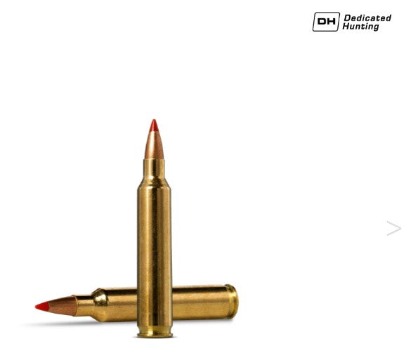 NORMA 204 Ruger 40gr V-Max 20 Pack