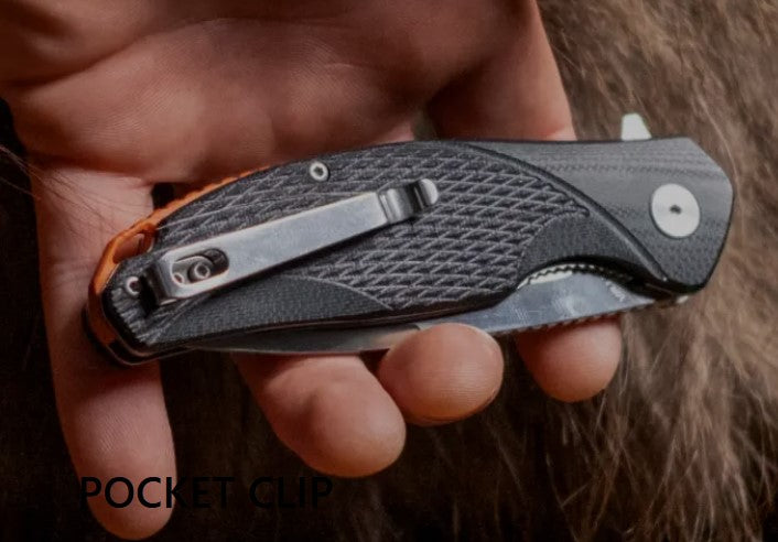 Bushmaster Raider