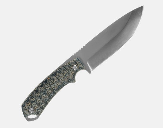 Bushmaster Dogtooth