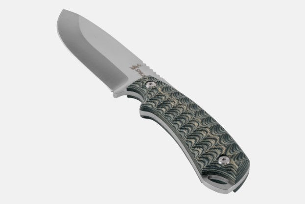 Bushmaster Dogtooth