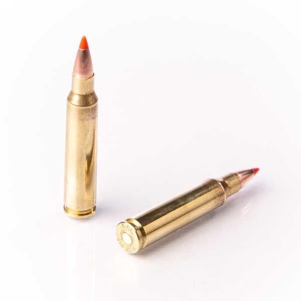 FIOCCHI 223 REM 60GR EPN PERFORMANCE 50 PK