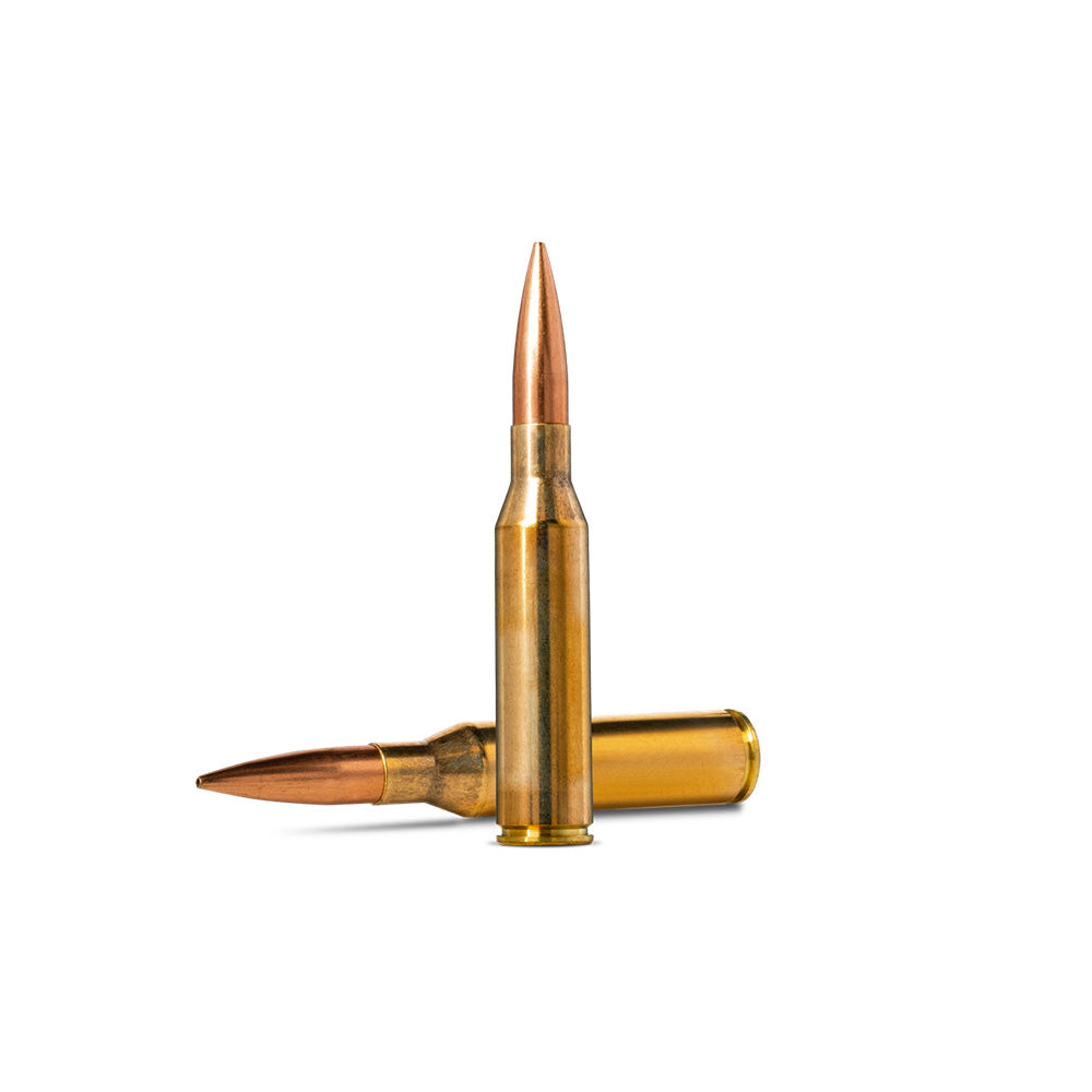 Norma 338 Norma Mag 300gr HPBT 20 Pack Ammunition