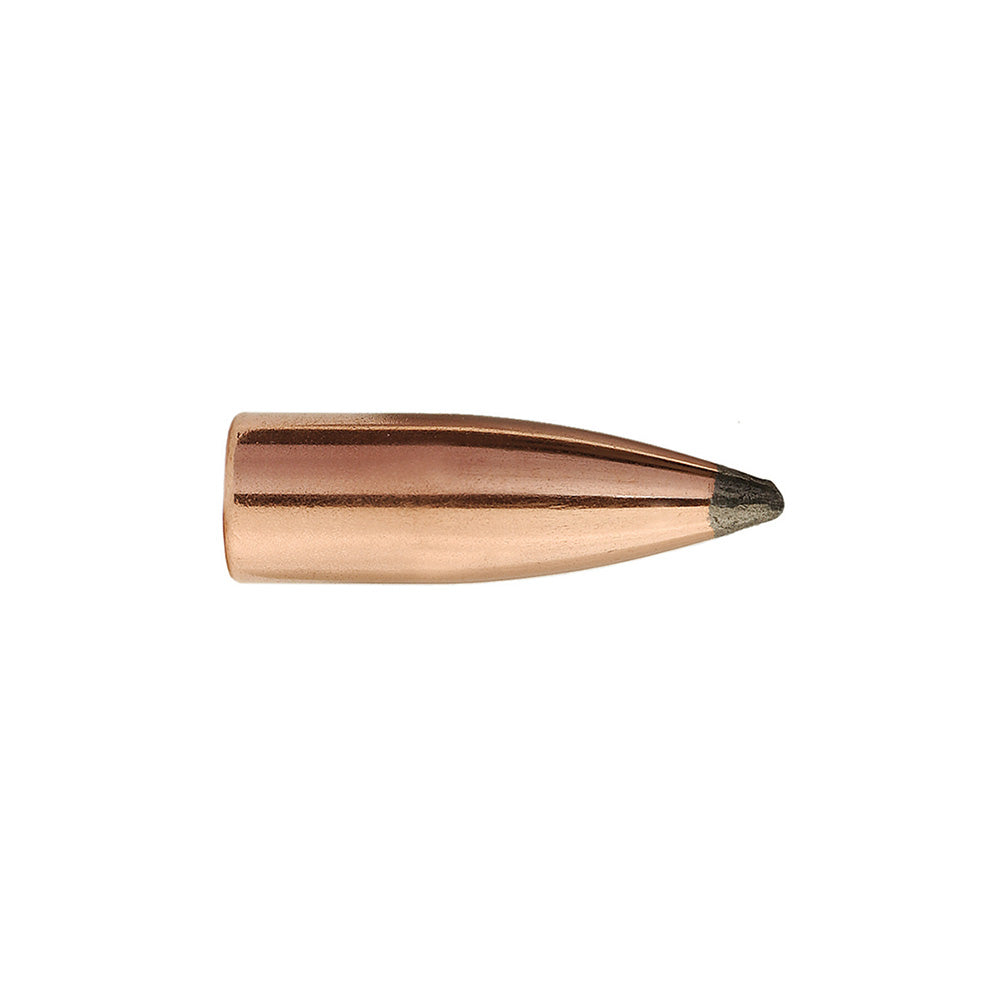 Sierra 1345 .22 55gr Blitz Varmint 100 Pack Ammunition